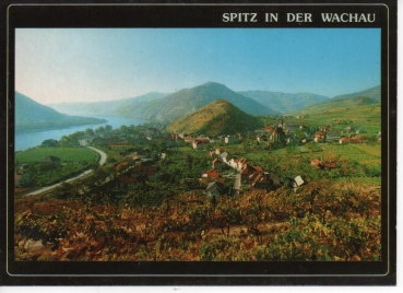 Ansichtskarte Spitz in der Wachau, Ortsansicht von Osten über die Weingärten mit "Tausendeimerberg" und Donautal
